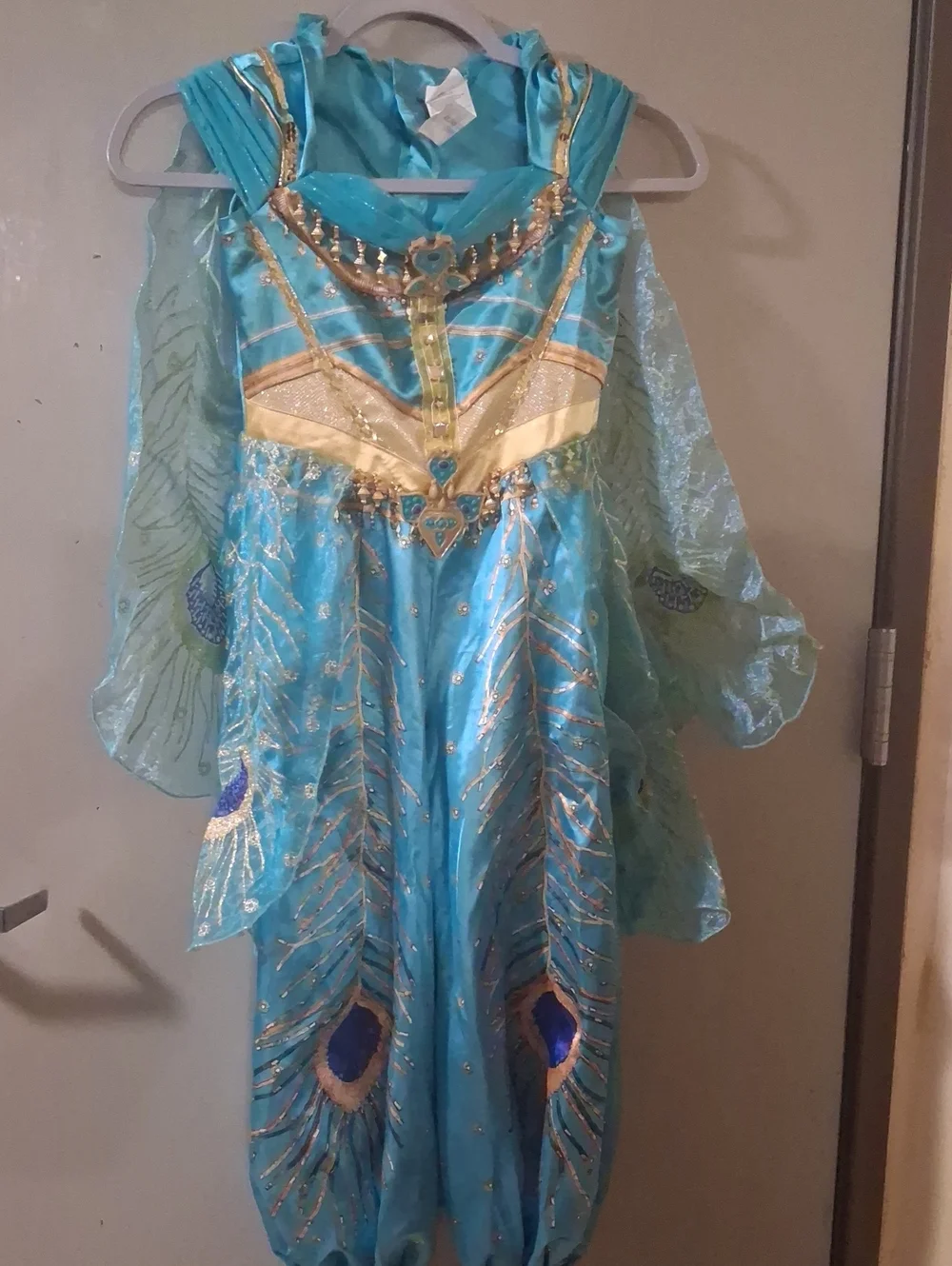 Girls Teal and Gold Peacock Princess Costume - Kids Costume